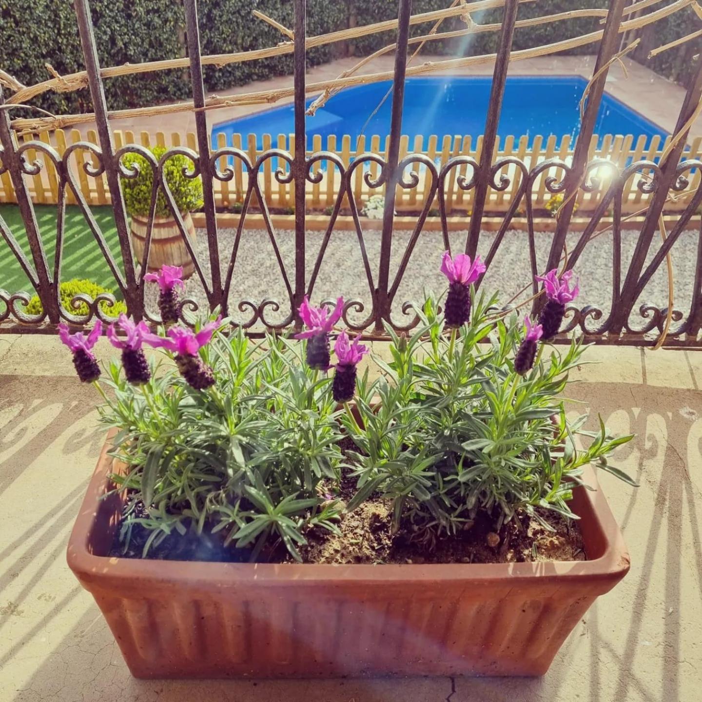 Casa Con Piscina Privada En Gualta, Can Blay Екстер'єр фото